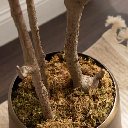 Kate and Laurel 7ft. Oliveira Faux Olive Tree with Jia Curved Cream Planter